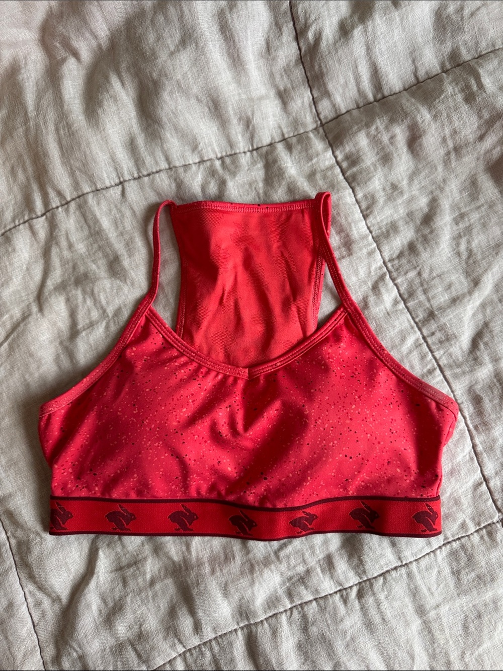 High-Impact Red Performance Sports Bra with Decorative Elastic Band